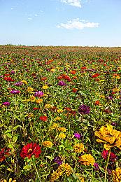 心理恐怖游戏《MADiSON》再度延期 7月8日发售